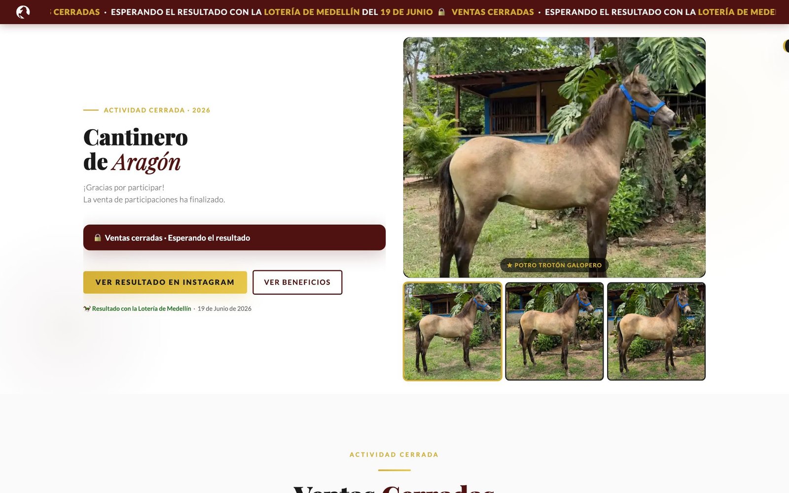 Galopando website