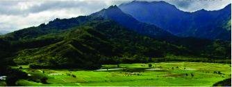 Andean region banner for the microsite