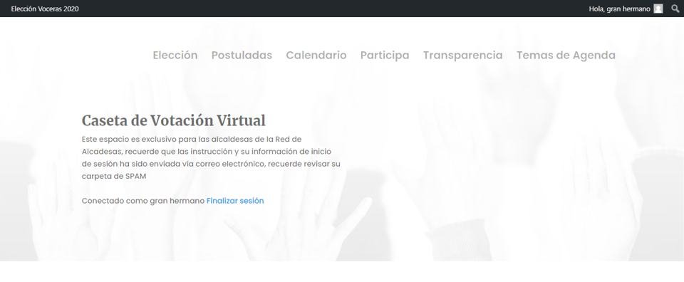 Virtual voting booth header